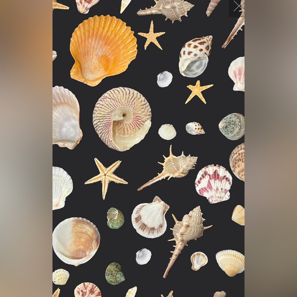 Rachel Antonoff Birdie Slim Straight Black Seashell Print Cigarette Pants 0 EUC - Picture 2 of 13